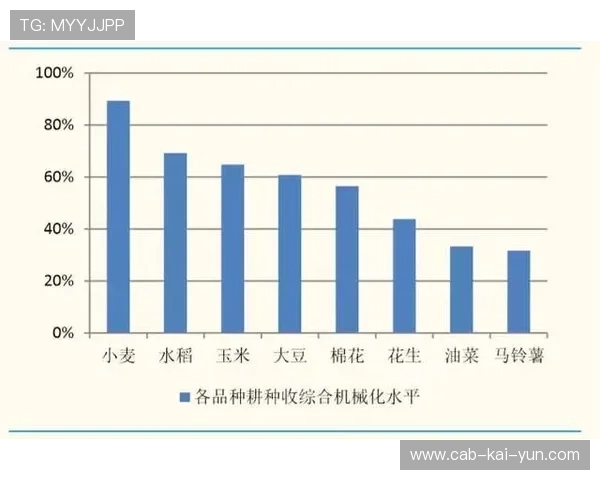 场馆多口径收入结构优化成俱乐部财务新常态