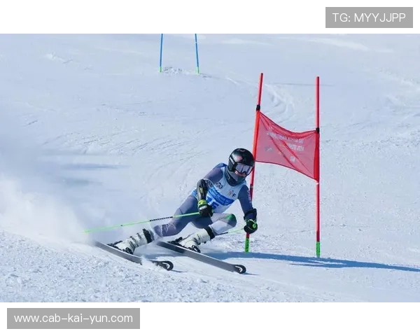 高山滑雪赛事奖金吸引新秀，高山滑雪比赛项目包括